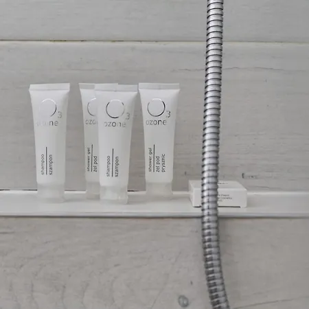 Spacious Suitable For Remote Work With Balcony & Parking By Renters فروتسواف